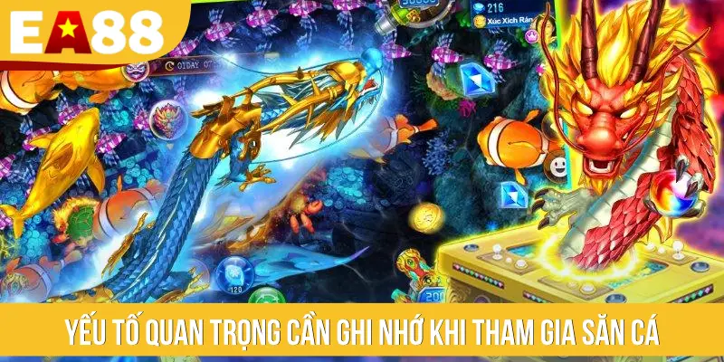 Yếu tố quan trọng cần ghi nhớ khi tham gia săn cá